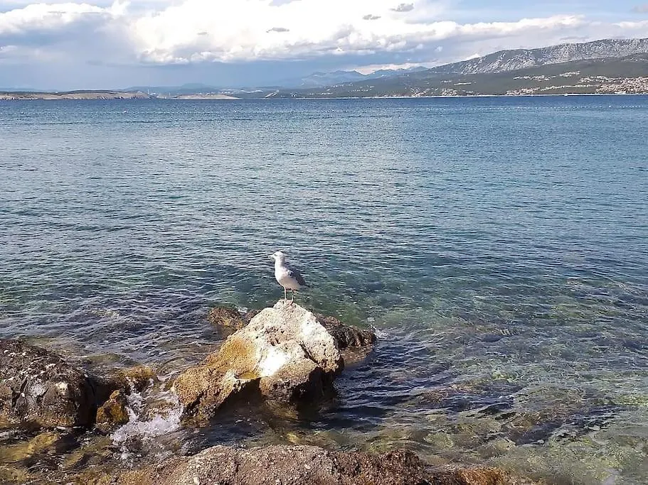 Apartment In Green And Quite Area, Close To Beach Silo  Croatia