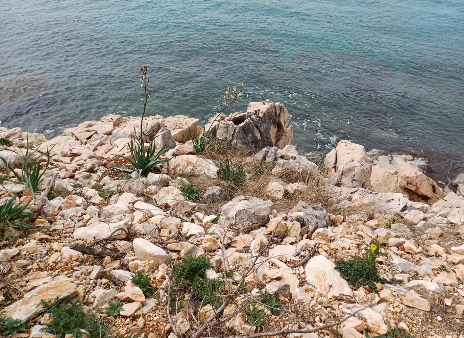 Apartment In Green And Quite Area, Close To Beach Silo